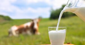 Read more about the article Top Companies in the Australian Milk Market