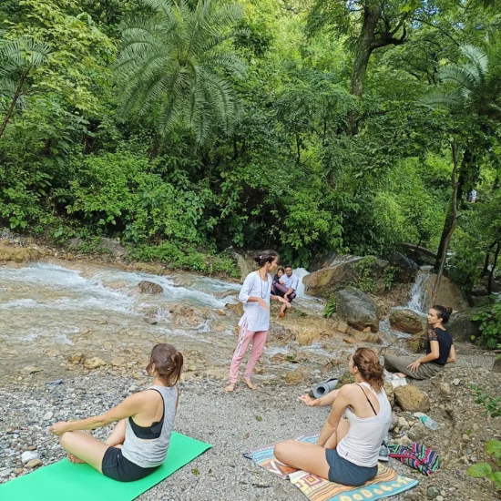 Read more about the article Find Your Inner Peace: Top Yoga Retreats in Rishikesh