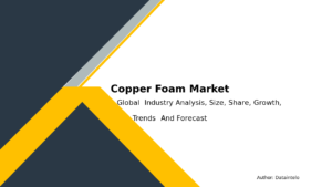 Read more about the article Future Trends for Copper Foam Market – Global Report 2032