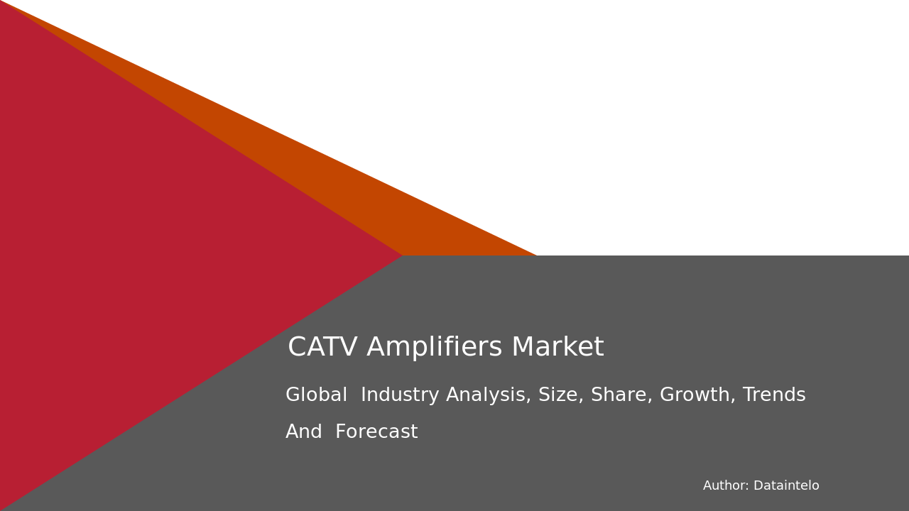 You are currently viewing CATV Amplifiers Market Competitive Landscape 2032