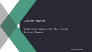 Read more about the article Calciner Market Size, Growth Trends, and Opportunities