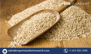 Read more about the article Sesame Seeds Market Outlook 2025-2034: Growth Trends, Opportunities, and Future Insights