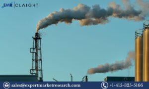 Read more about the article United Kingdom Carbon Dioxide Market Share, Size, Trends and Outlook | 2034