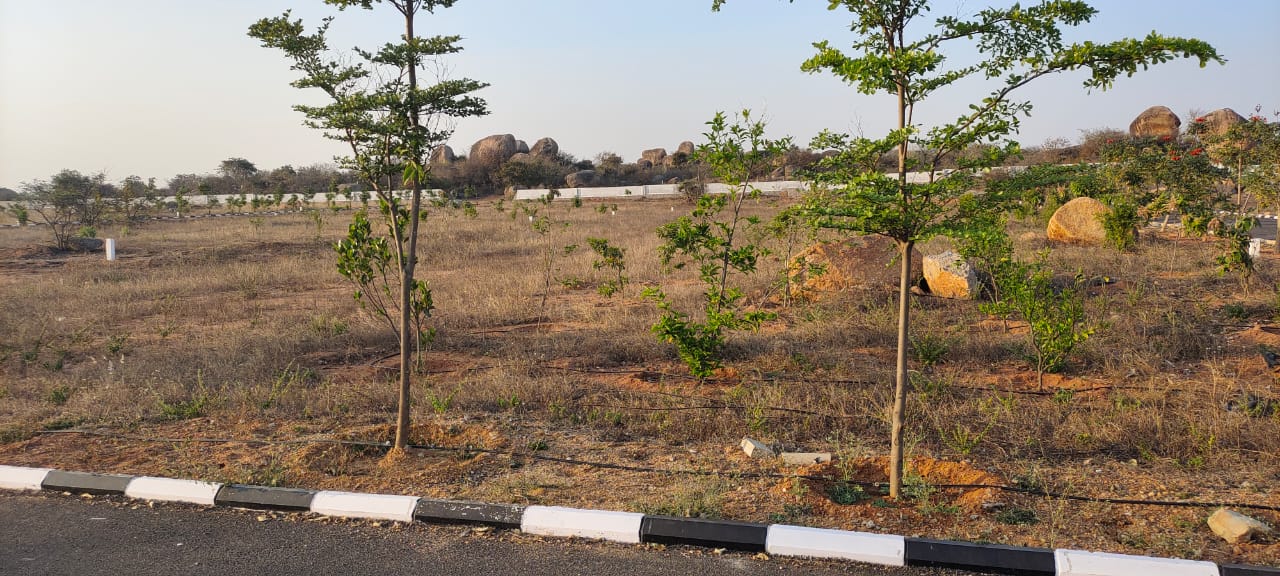 Read more about the article What Are Open Plots in Amaravati?