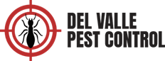 Read more about the article Mosquito Control in Pharr: Effective Strategies to Protect Your Home and Health