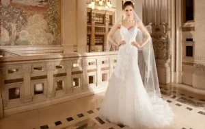 Read more about the article Why Demetrios Bridal is Every Bride’s Perfect Choice                         