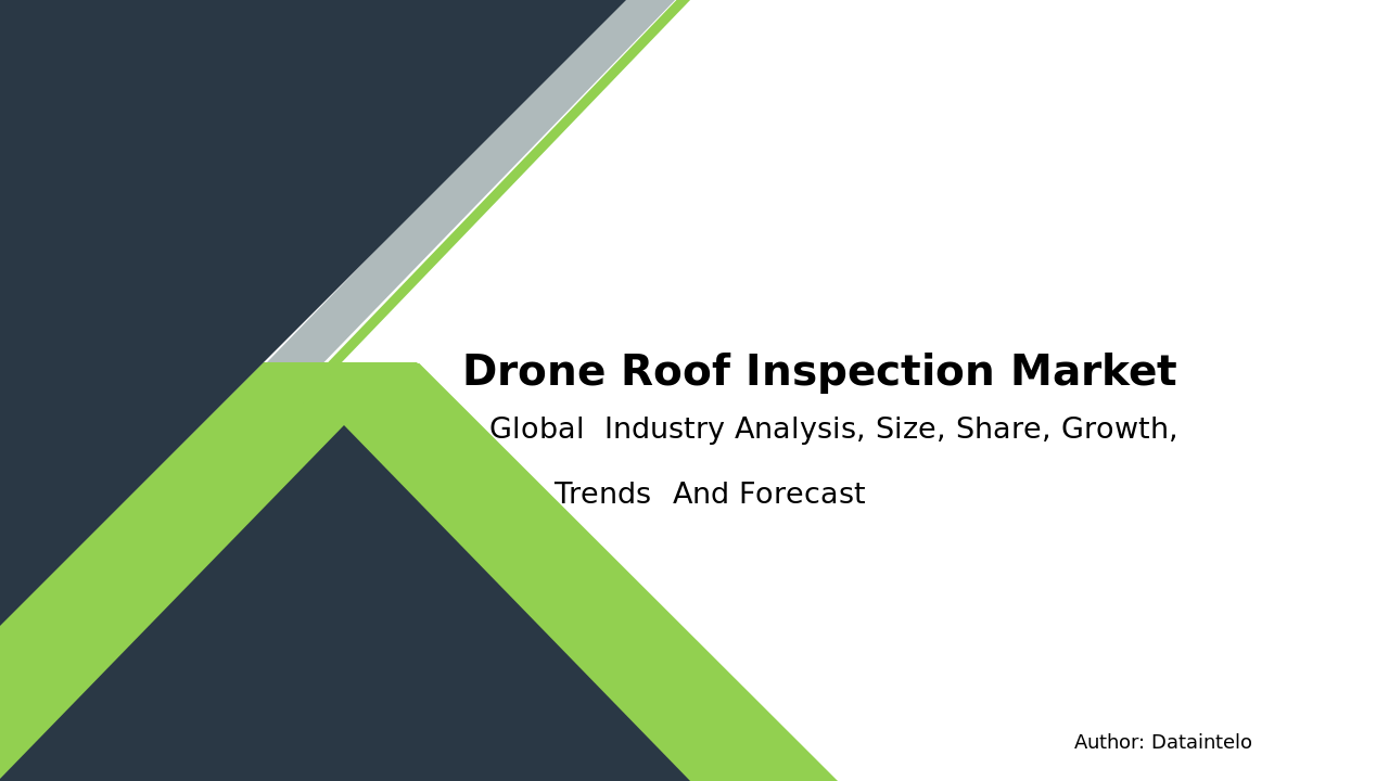 Read more about the article Drone Roof Inspection Market Potential: Key Growth Factors & Forecast