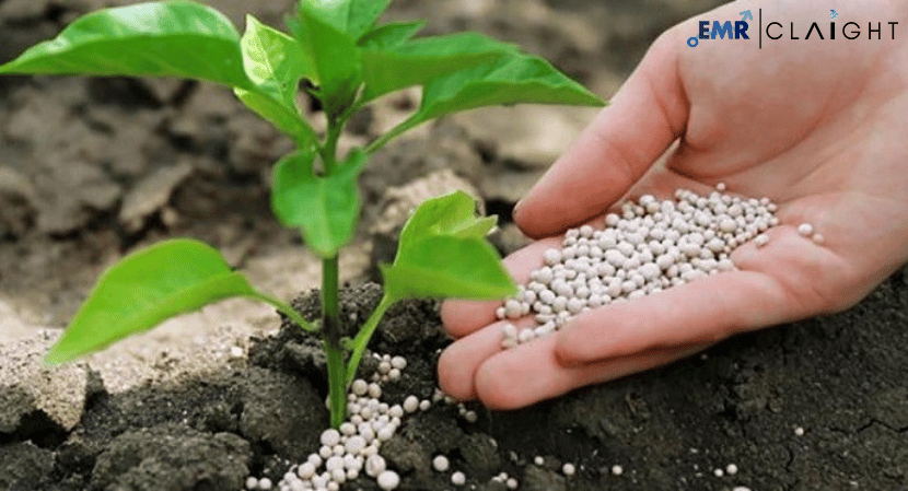 Read more about the article Agricultural Micronutrients Market Size, Share, Growth & Industry Trends 2034