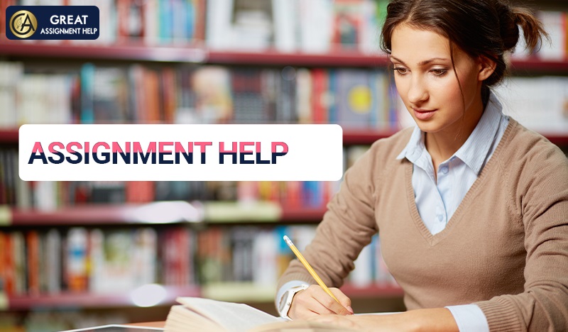 Read more about the article Get Online Assignment Help By Experienced Ph.D. Writers in Australia