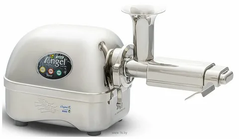 You are currently viewing Angelia 8500s Cold Press Juicer –For Health Enthusiasts