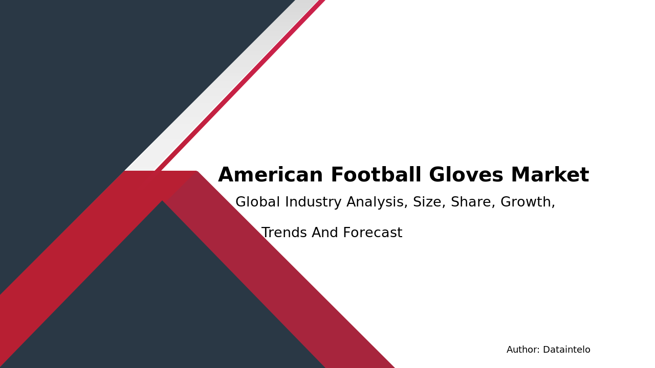 Read more about the article American Football Gloves Industry Size, Growth Rate, and Trends