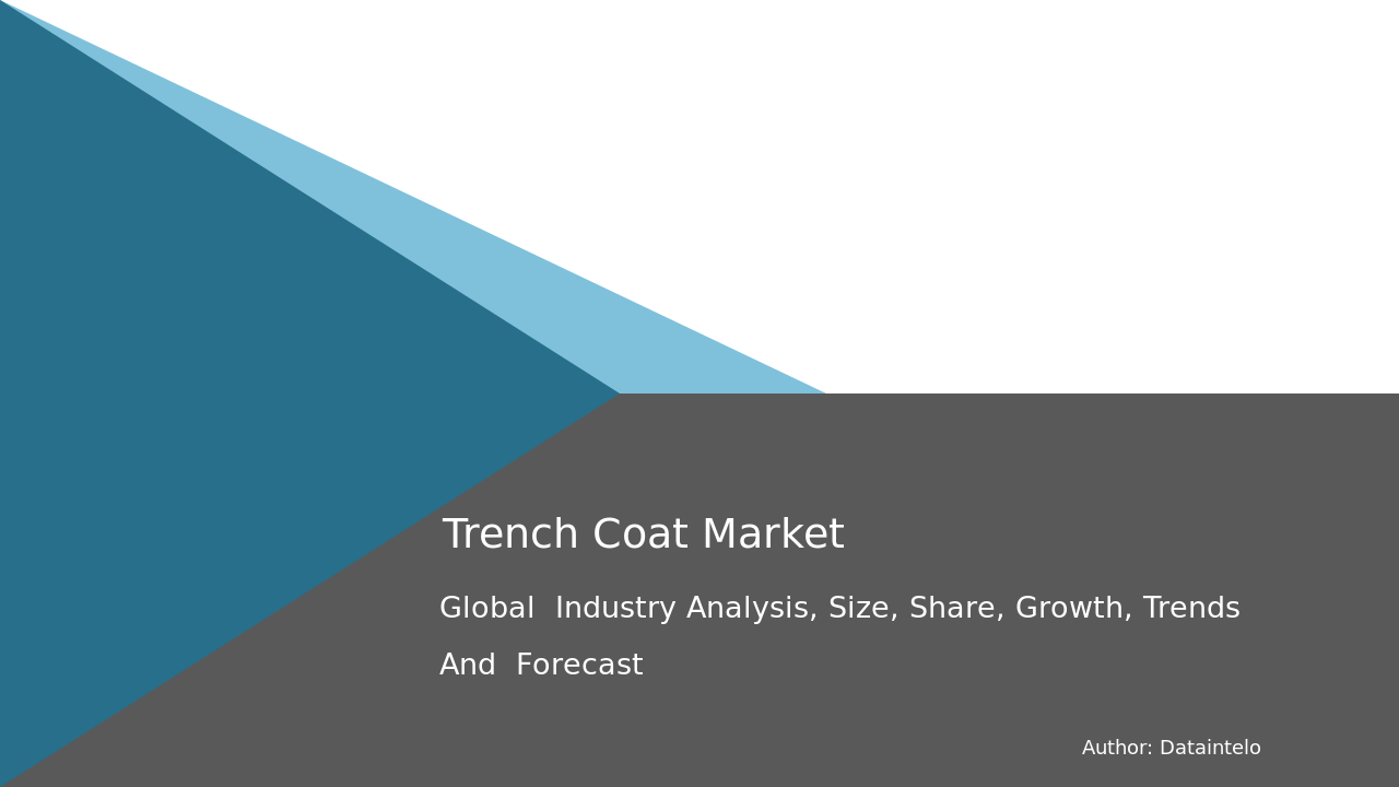 Read more about the article Global Trench Coat Market: Industry Overview and Competitive Analysis