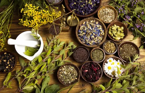 Read more about the article Why You Should See Herbalist Melbourne for Better Health?