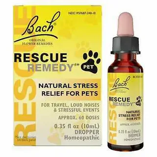 Read more about the article Rescue Remedy for Cats: Safe & Effective Solution for Stress